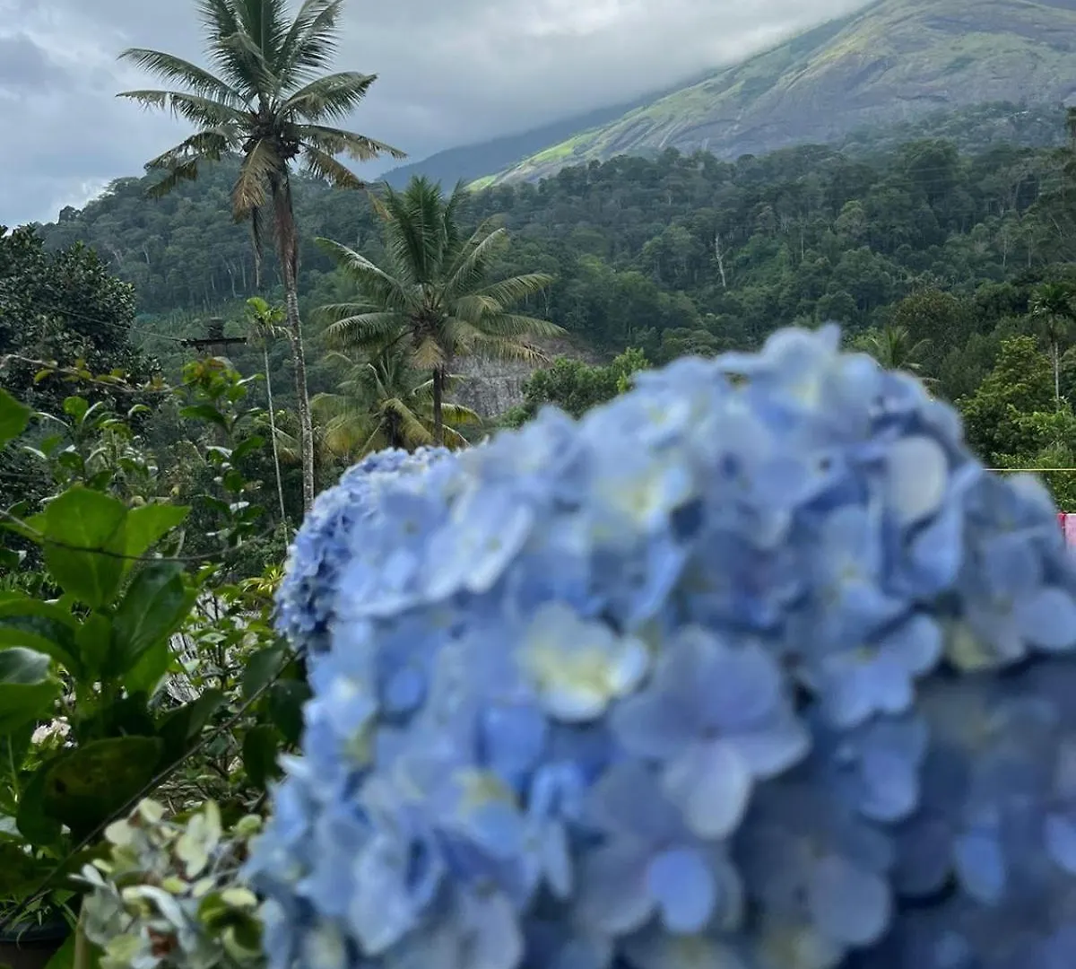 Nature Family Homestay Munnar Indie
